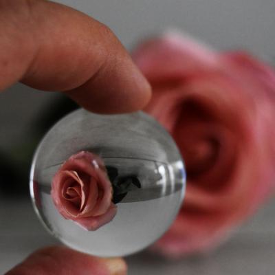 La douceur d'une rose du bout des doigts