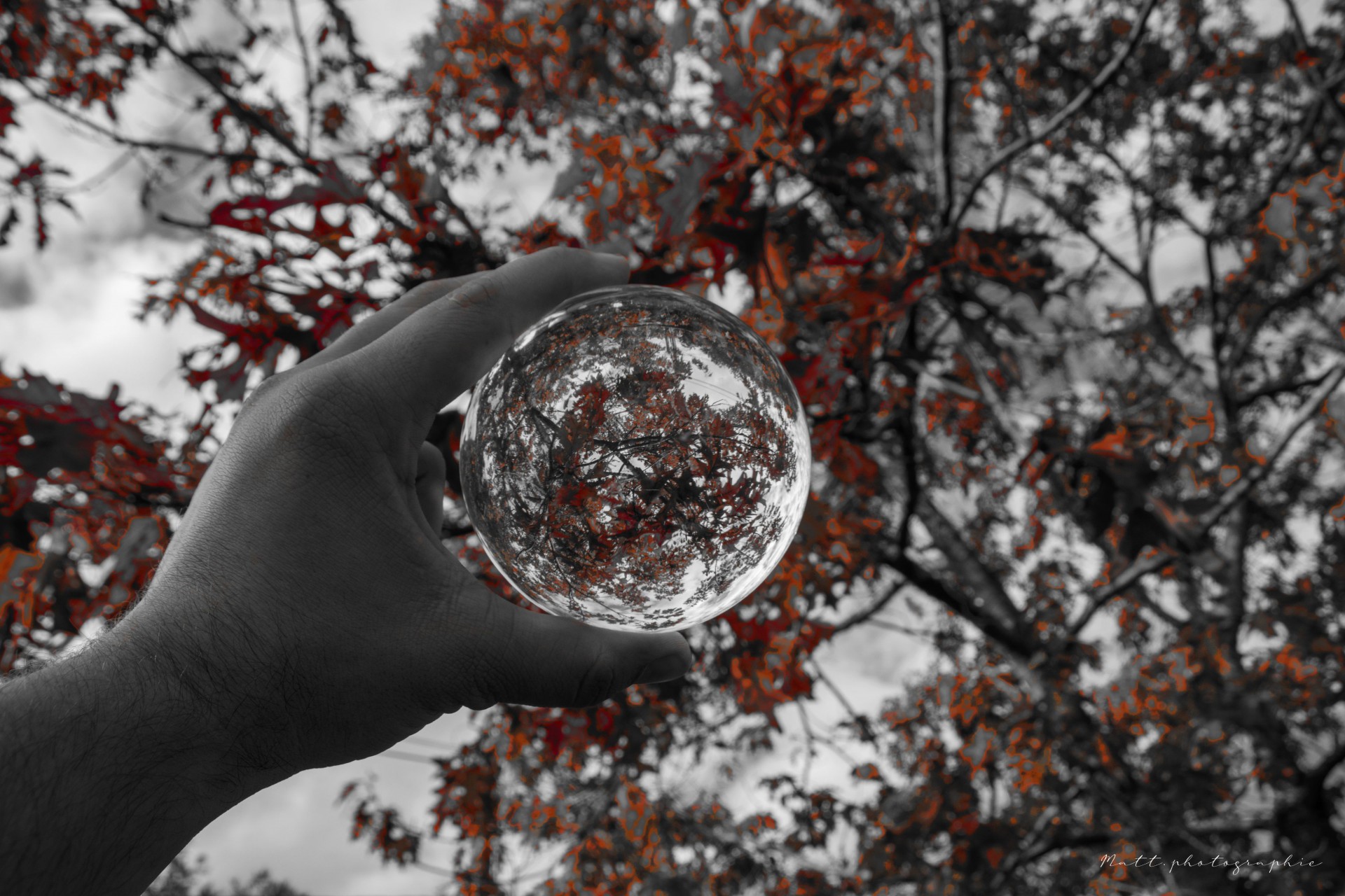 Couleurs d'automne