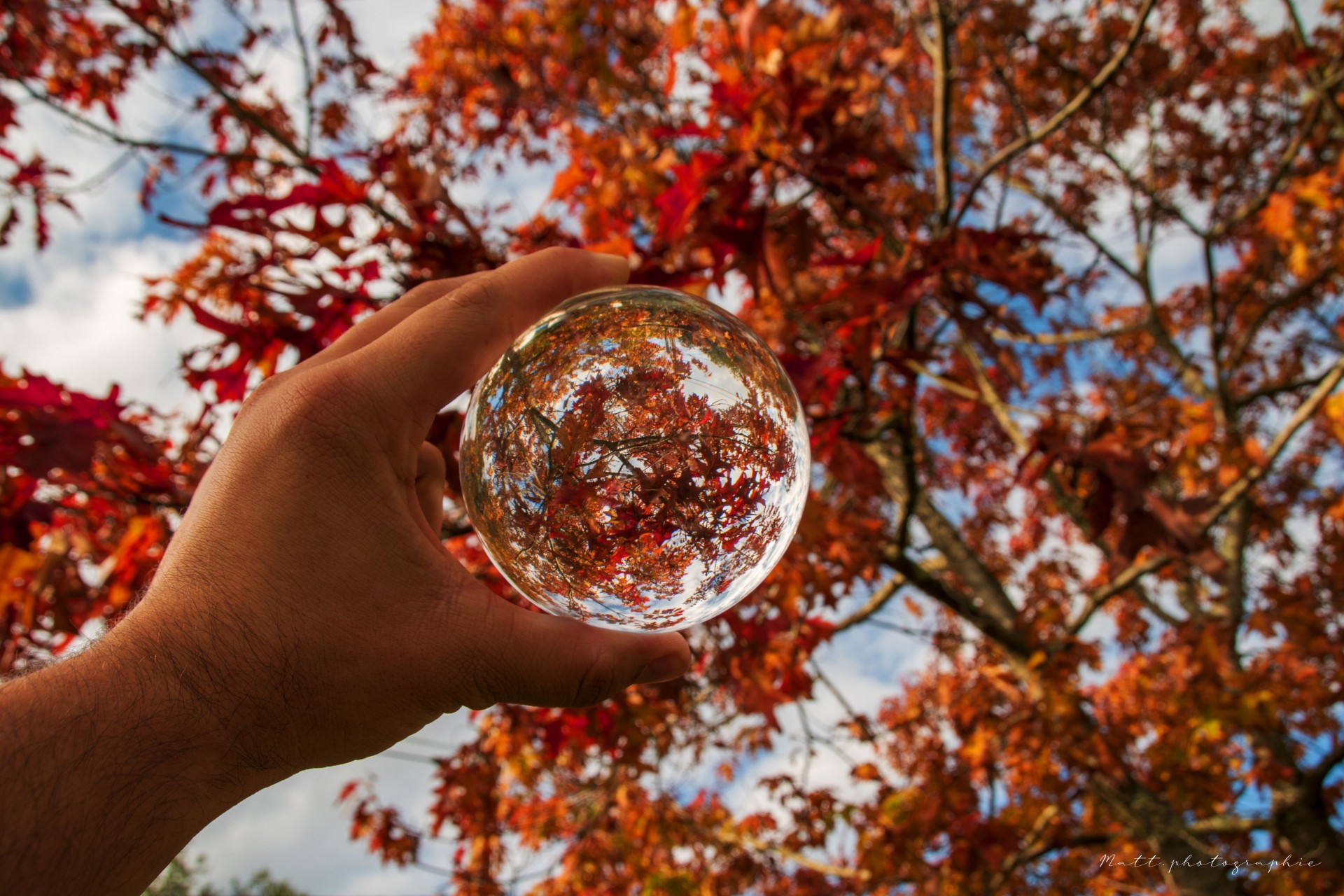 L'automne revêt ses habits de couleurs