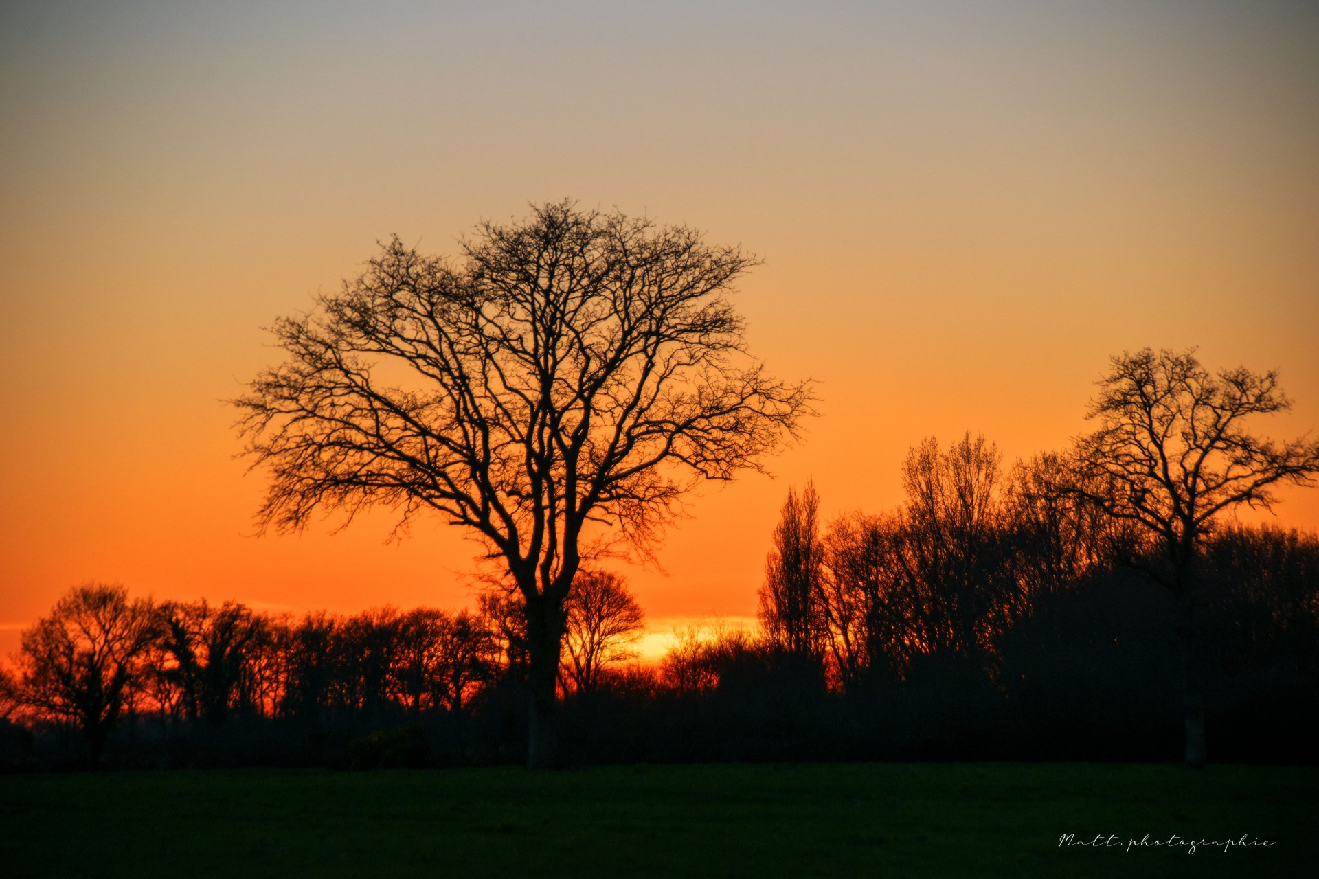 Dernier soleil d'hiver