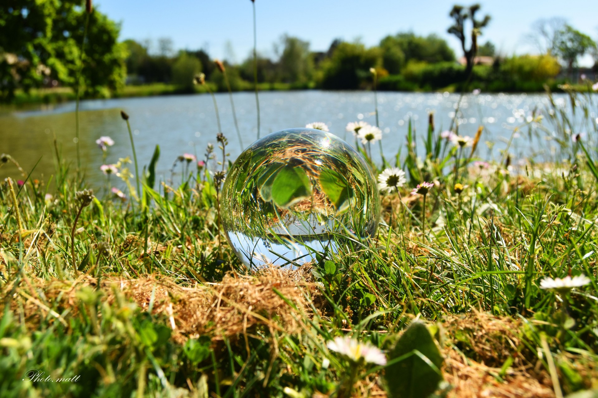 Reflet de campagne 