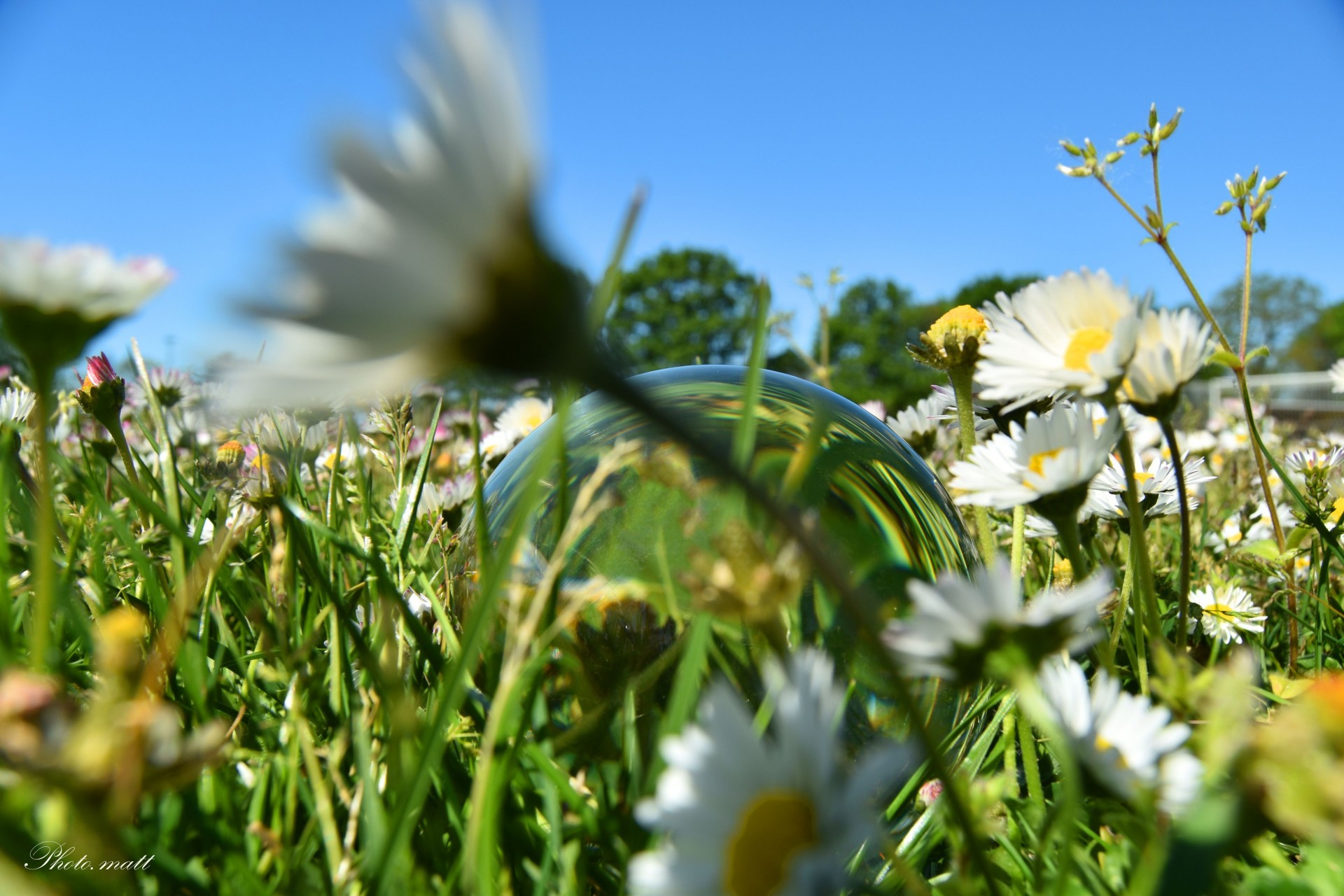 La nature reprend ses droits