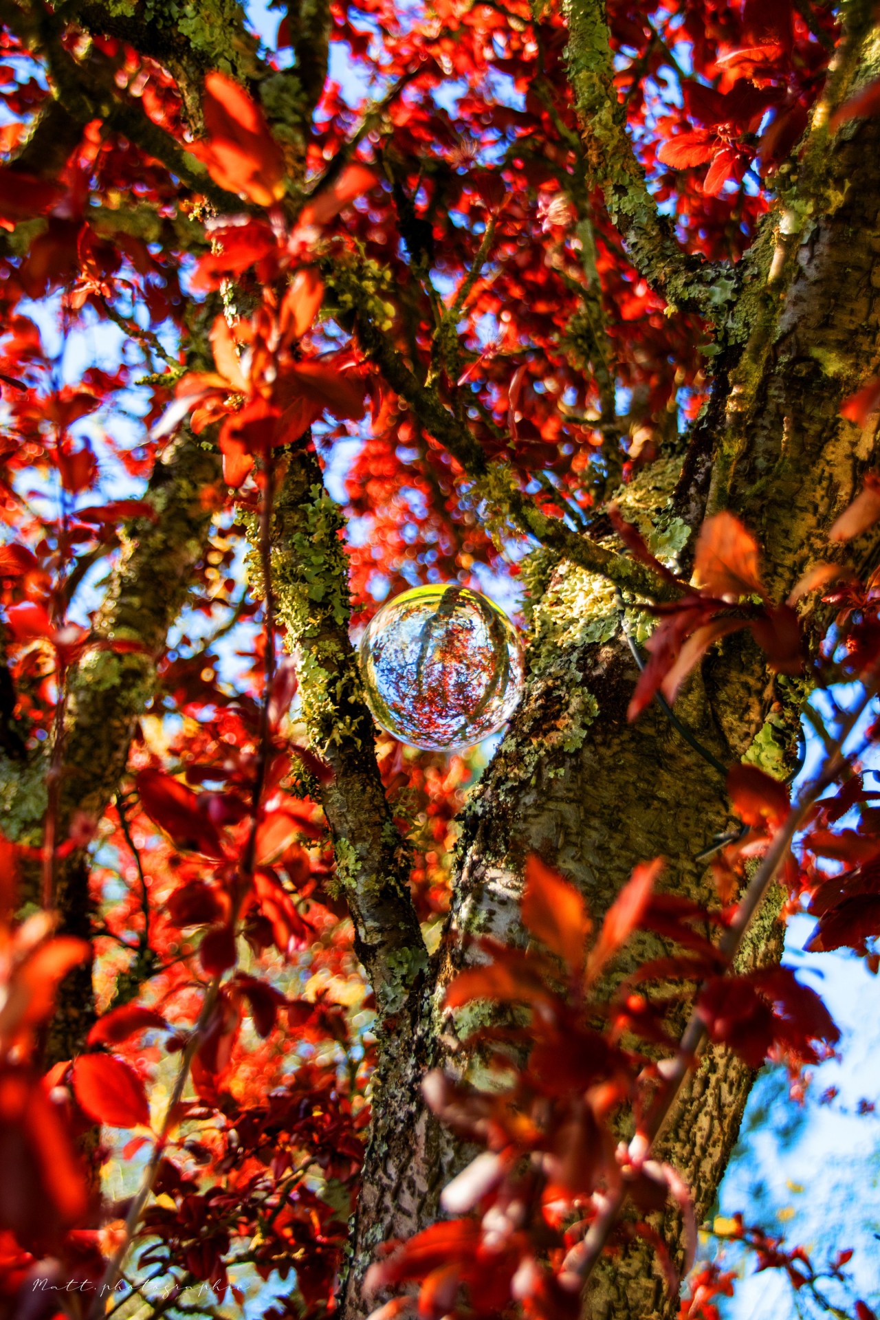 Eveil du printemps